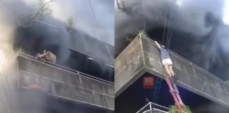 Mandaue City Fire Hero Eimeilee Maningo Saves Dogs Before Escaping Blaze Mandaue City fire hero