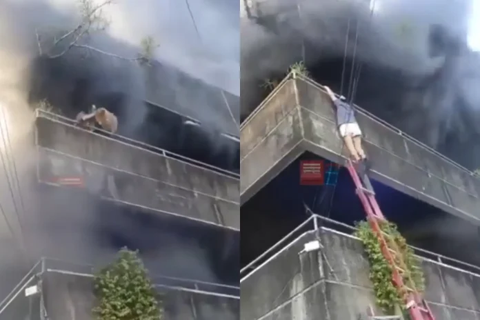 Mandaue City fire hero