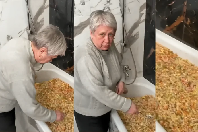 Olivier Salad Bathtub