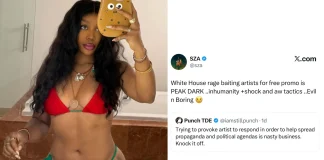 SZA Slams White House Over Unauthorized Song Use in ICE Video SZA ICE Video