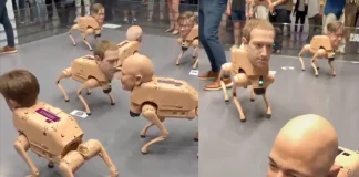 Tech Billionaire Robot Dogs Satirize Algorithmic Influence at Art Basel Beeple Art Basel robot dogs