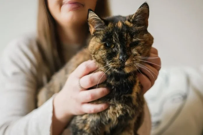 Flossie oldest living cat