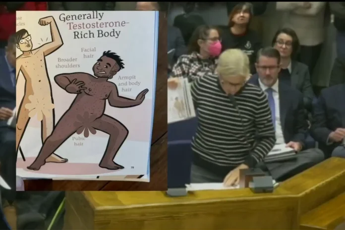 Yolo County library explicit book