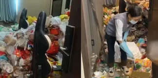 Viral Horror: Chinese Gamer Hotel Trash Pile Reaches Ceiling After 2-Year Isolation Chinese Gamer Hotel Trash
