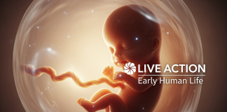 Live Action’s Baby Oliver Video Reignites Pro-Life Debate Live Action's Baby Oliver Video Reignites Pro-Life Debate