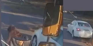 Video Captures White Sedan Narrowly Missing Student in Franklin County School Bus Incident Franklin County School Bus Near Miss