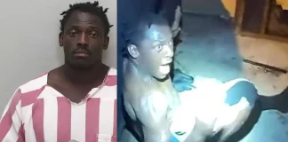 Florida Man Gets 4 Years for Taco Bell Rock Robbery Attempt Florida Man Gets 4 Years for Taco Bell Rock Robbery Attempt
