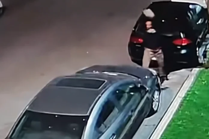 windshield smasher Los Angeles