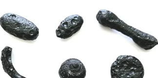 Alien Fragments Found in Brazil: Extraterrestrial Discovery or Hoax? alien-origin fragments Brazil