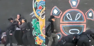 Hero Bystander Aids Officers in Tense Suspect Apprehension | USA bystander helps police arrest suspect