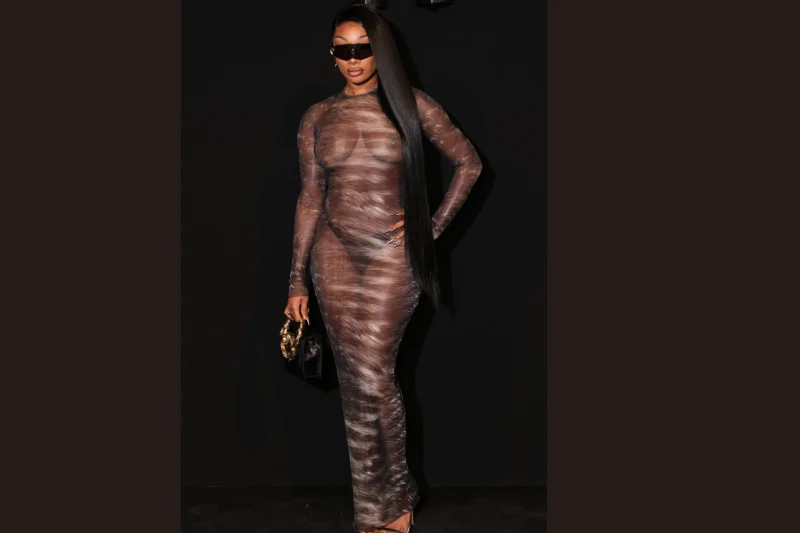 Megan Thee Stallion Talks Transparent Amiri Dress