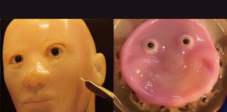 Smiling Robot with Living Skin Developed by Asian University | Tech News robot with living skin