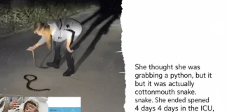 Snake Bite Lawsuit: $1.5M Mistake Lands Woman in ICU snake bite lawsuit