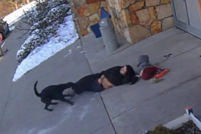Sylvania dog attack Whiteford Elementary