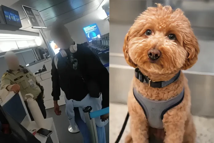 woman abandons dog airport