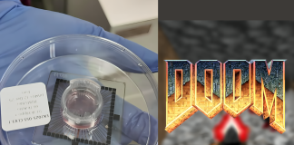 Human Brain Cells Trained to Play Doom Game on Microchip brain cells play Doom