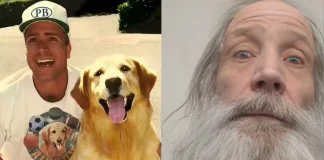 Kevin DiCicco, Creator of Air Bud, Dies at 63 Kevin DiCicco