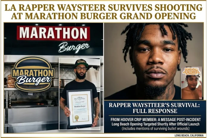 Waysteer shooting response