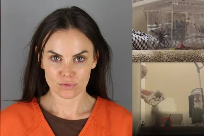 Minnesota politician tarantula assault