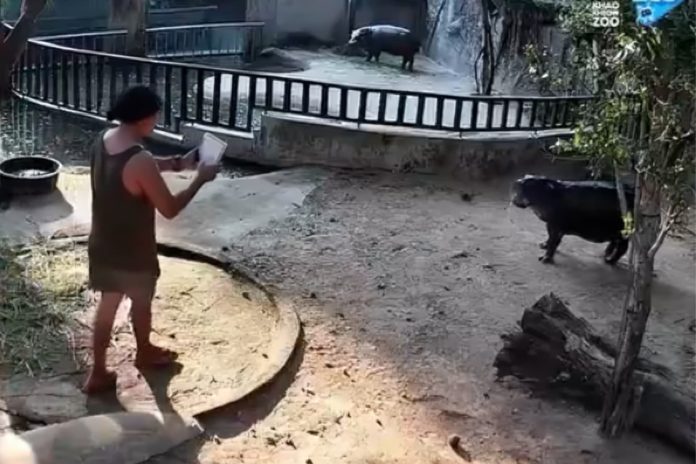 man arrested pygmy hippo enclosure