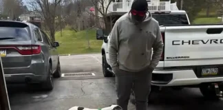 Miracle Reunion: Dog Missing 11 Years Returns Home to Philadelphia Family dog missing 11 years returns Philadelphia