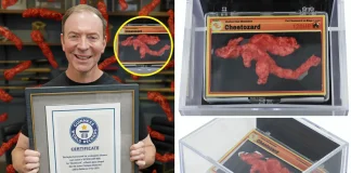 Record-Breaking Cheeto Likeness Sells for $87,840 – A Pokémon Fan’s Ultimate Collectible Cheeto likeness record