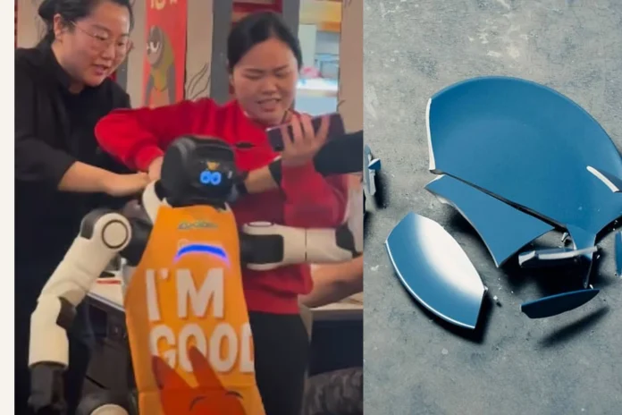 robot malfunction restaurant