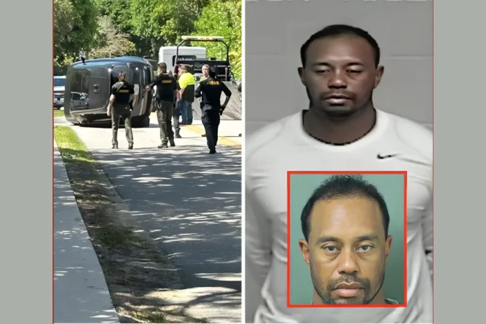 Tiger Woods DUI arrest