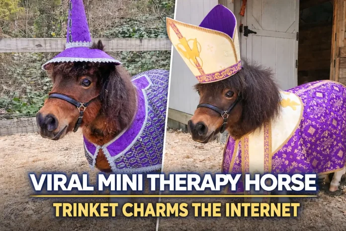 Trinket miniature horse Etsy