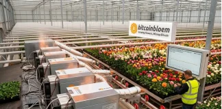 Netherlands Farm Uses Bitcoin Mining for Stable Greenhouse Temperatures Bitcoin mining greenhouse temperature