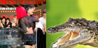 Chinese Livestreamer Banned After Forcing Streamers into Crocodile Tank livestreamer banned crocodile tank