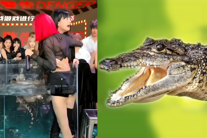 livestreamer banned crocodile tank