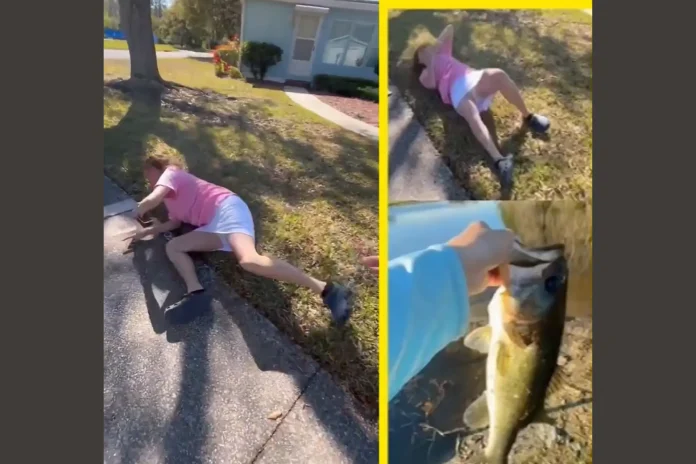 elderly woman arrested fishing rod dispute