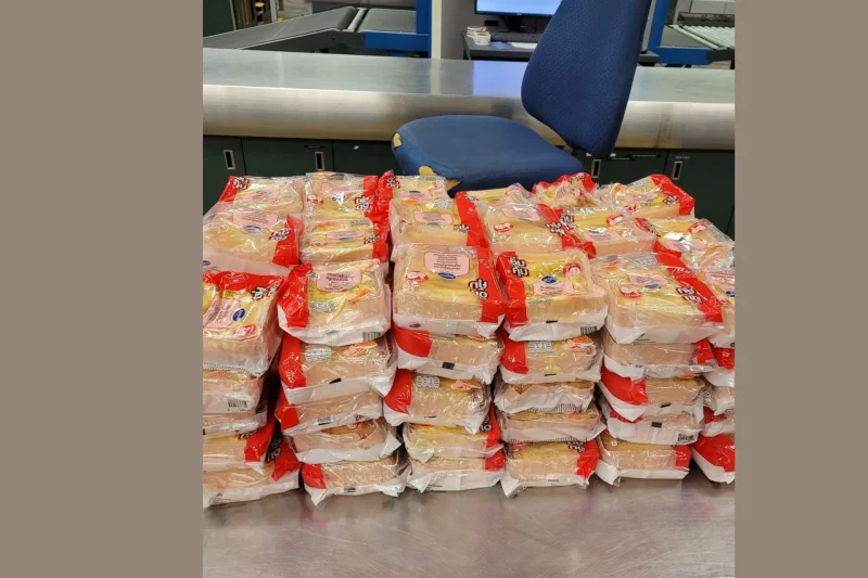 Merla the Beagle Detects Over 100 Prohibited Thai Sandwiches at Washington Airport