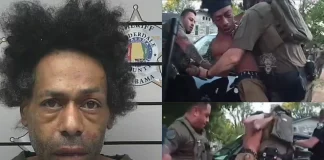 Man Bitten by Police K-9 During Alabama Arrest Bites Dog Back Alabama arrest K-9 bite