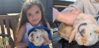 Missing Pet Bunny Reunited With Family After 4 Years on Easter Sunday missing pet bunny reunited