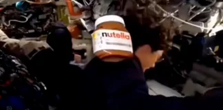 Nutella On Artemis Mission Goes Viral: The Accidental Space Ad Nutella On Artemis Mission Goes Viral: The Accidental Space Ad