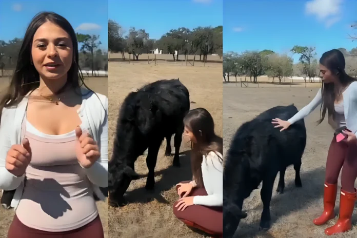 Sophie Rain ranch investment