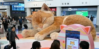 Giant Interactive Cat Takes Over Hong Kong International Airport interactive cat Hong Kong airport