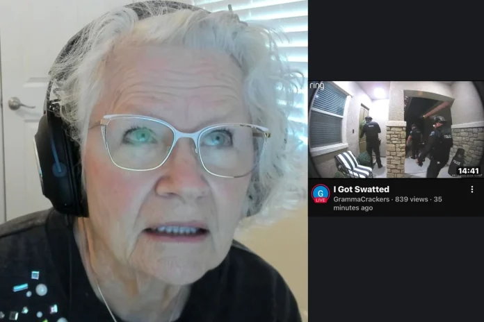 Minecraft streaming grandmother swatted