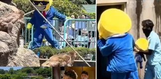 American Memecoin Influencers Arrested in Japan for Zoo Stunt Crypto influencers arrested Japan