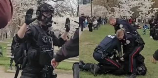 Cosplayer Handcuffed and Detained at Event Over Replica Rifle cosplayer detained replica rifle