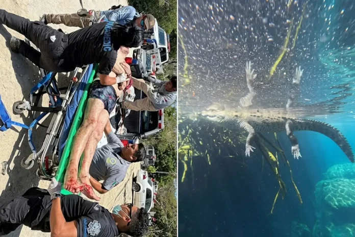 crocodile attack Mexico