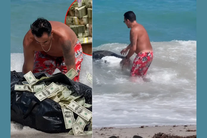 Florida man finds cash