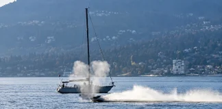 Jet Ski Rider Goes Flying After Colliding With Gray Whale in Vancouver jet ski whale collision Vancouver