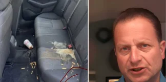 Lyft Driver Uses AI-Generated Image in $75 Fake Damage Fee Scam Lyft AI scam