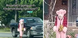 Man in Pink Panther Costume Accused of Hunting Kids in Virginia Man in Pink Panther Costume Accused of Hunting Kids in Virginia
