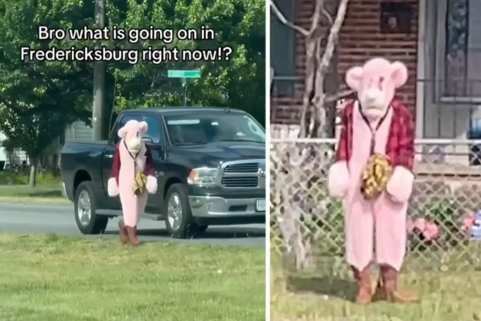 Man in Pink Panther Costume Accused of Hunting Kids in Virginia