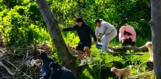 Rabid Beaver Attacks 8-Year-Old Boy at Lake Henry, Mahwah NJ rabid beaver attack New Jersey