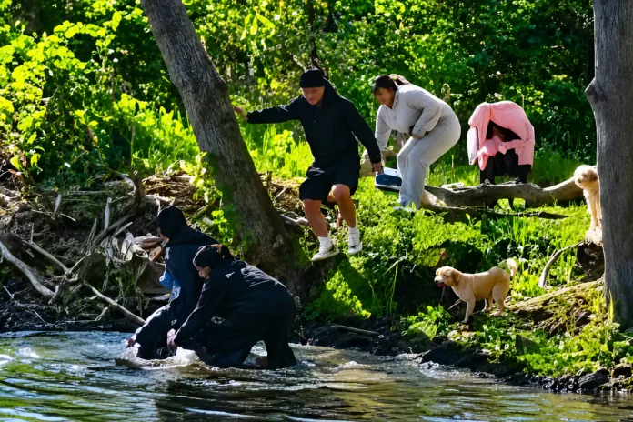 rabid beaver attack New Jersey